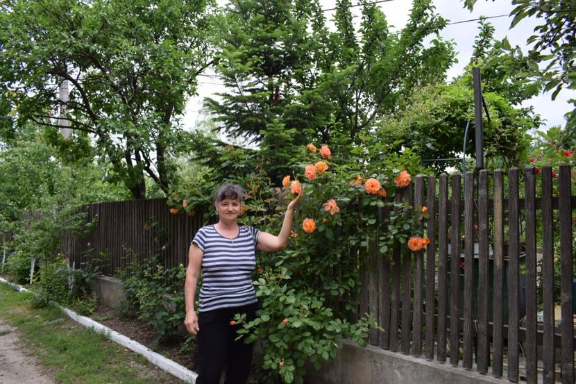 Patroana Gradinii - Flori din gradina matusii