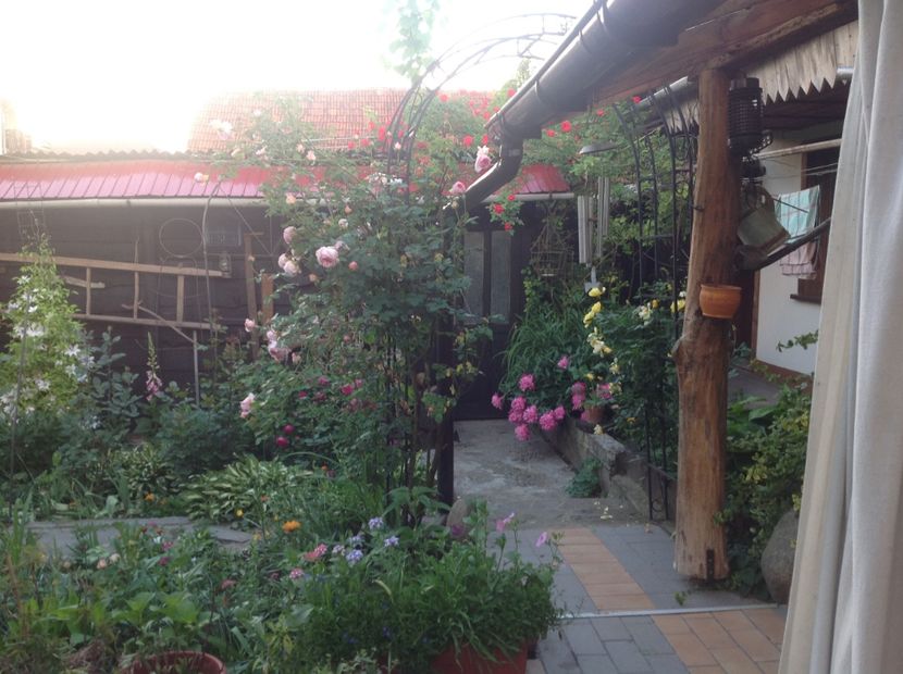  - Gradina feb 2018 un inceput de nou sezon