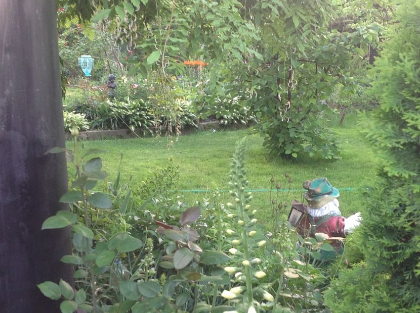  - Gradina feb 2018 un inceput de nou sezon