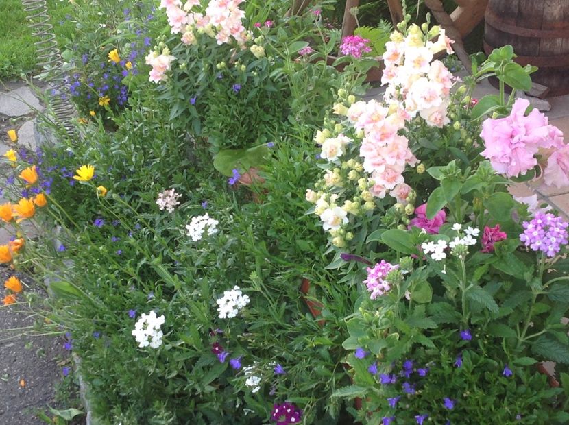  - Jardiniere 2018