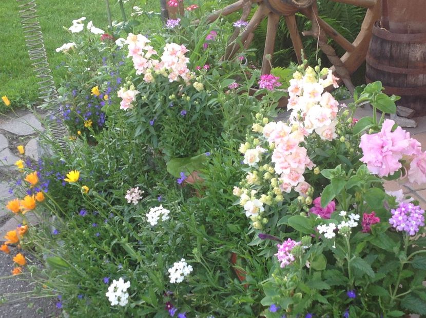  - Jardiniere 2018