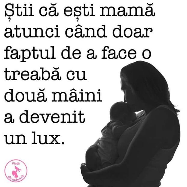  - Poze 4