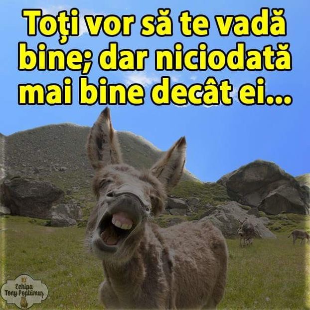  - Poze 4