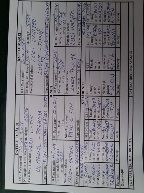 RO 7   187 - TINERET 2018