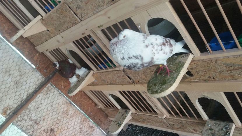 IMG-20180519-WA0046 - 13 Gaditanos