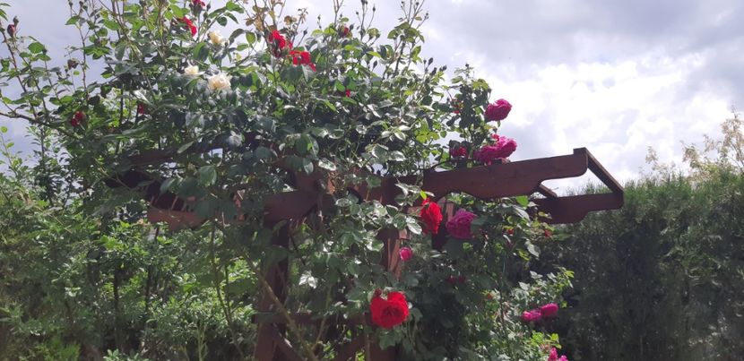  - Primavara Valu- 2018