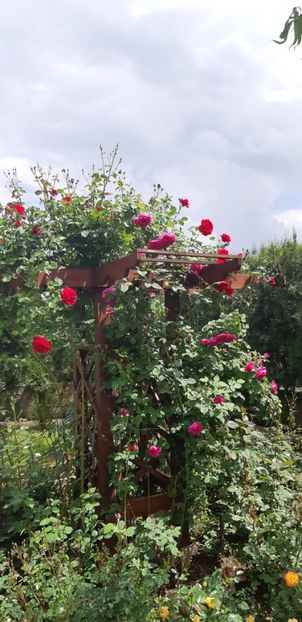  - Primavara Valu- 2018