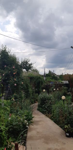  - Primavara Valu- 2018