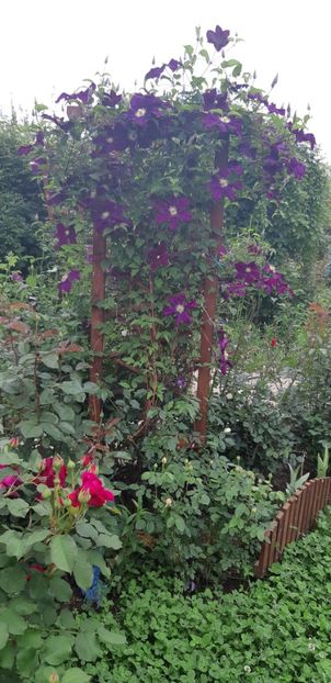  - Primavara Valu- 2018