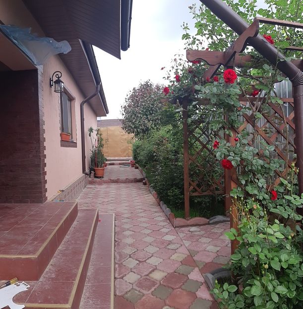  - Primavara Valu- 2018