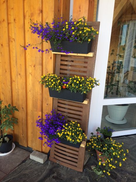 20.05.2018 - Modele de Raft