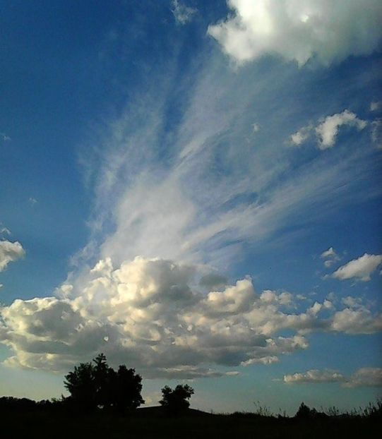 oie_WMPl2L0yDzuV - Dansul norilor