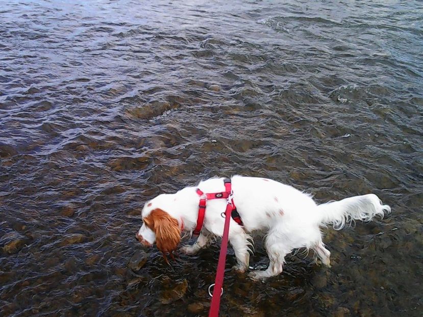 Nuovo_1_Photo7737 - Mimi