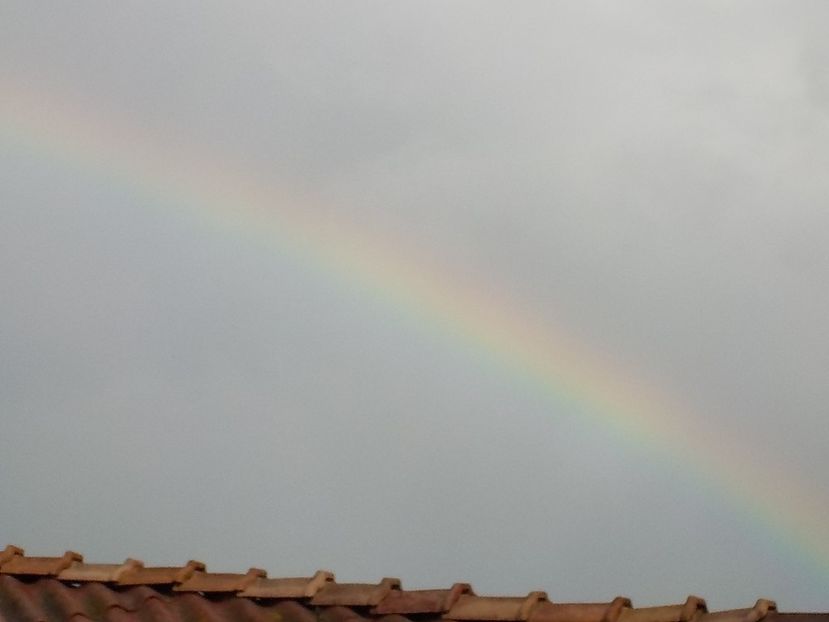  - curcubeu