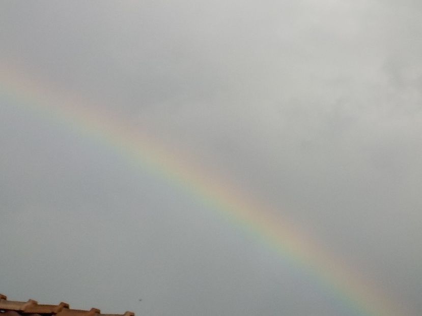  - curcubeu