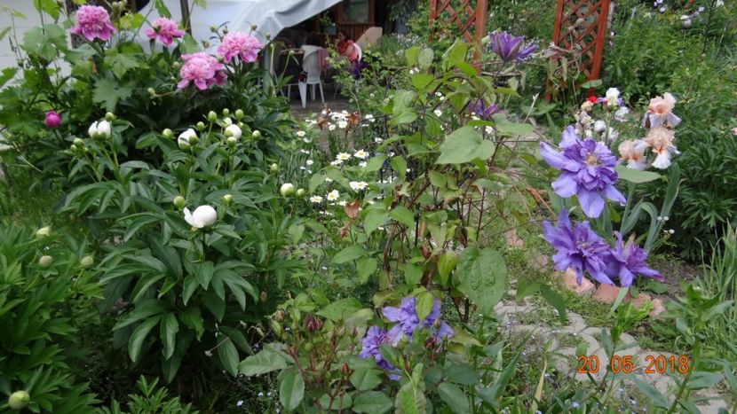  - De-ale lui Florar