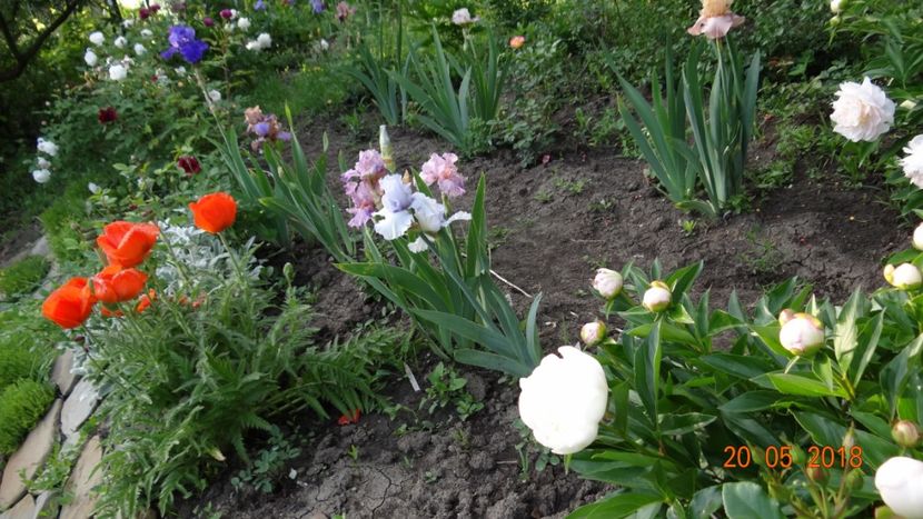  - De-ale lui Florar