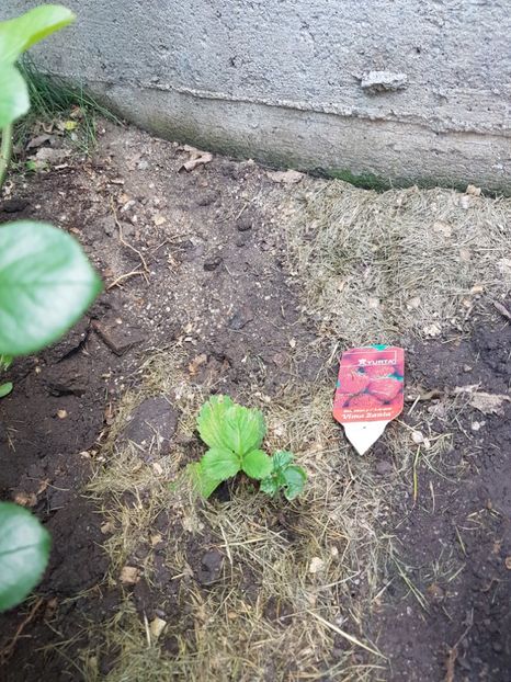  - Ultimele achizitii