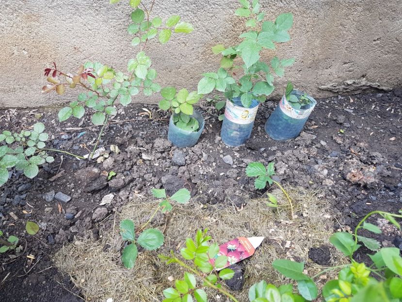  - Ultimele achizitii