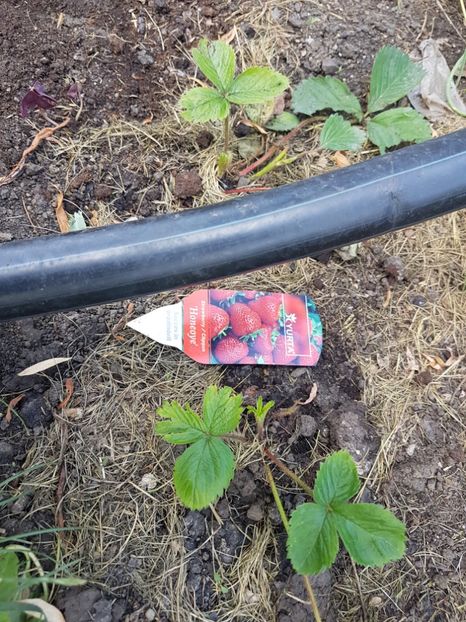  - Ultimele achizitii