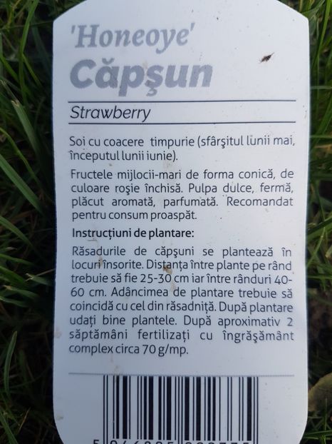  - Ultimele achizitii