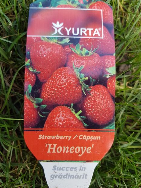  - Ultimele achizitii