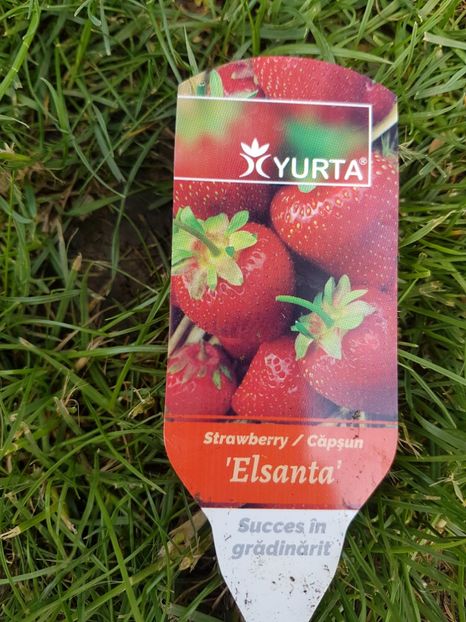  - Ultimele achizitii