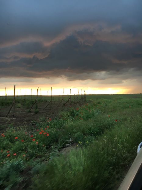 12E4A1F3-16F6-4BB4-82A5-A81C34B96A5F - Apus  de soare