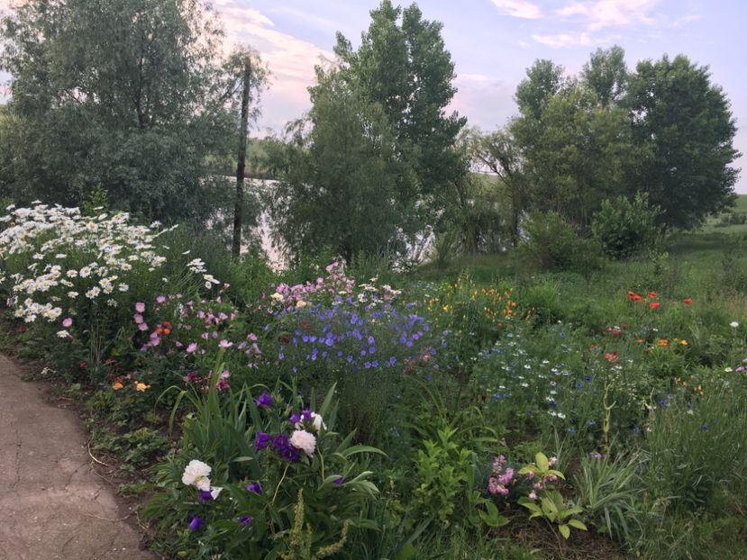 EA8050B1-A86E-4644-B83F-6699C05A43B4 - Flori la balta 2018