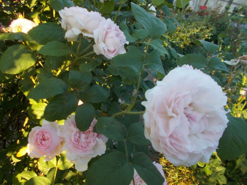  - Winchester Cathedral