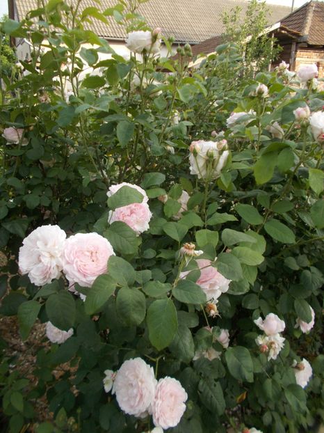  - Winchester Cathedral