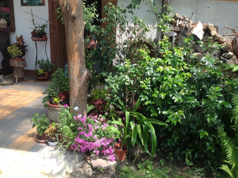  - Jardiniere 2018