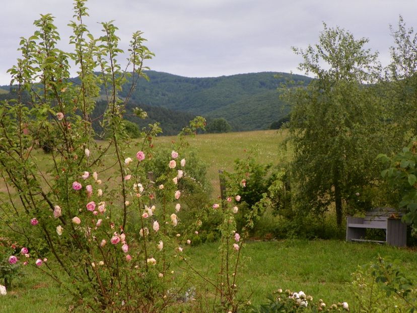 Fruhlingsduft - Dobarland 2018 2