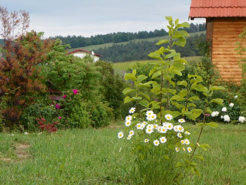 margarete - Dobarland 2018 2