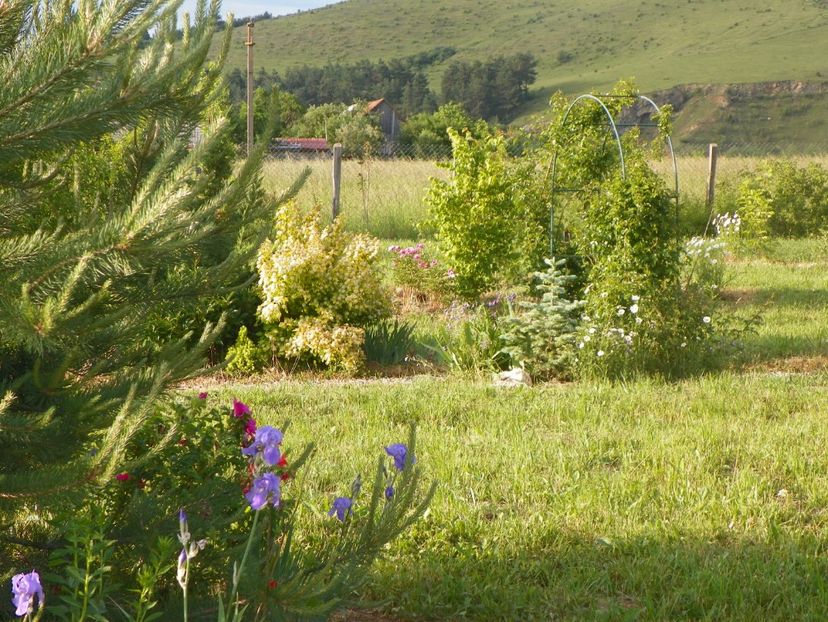 20 mai (300) - Dobarland 2018 2