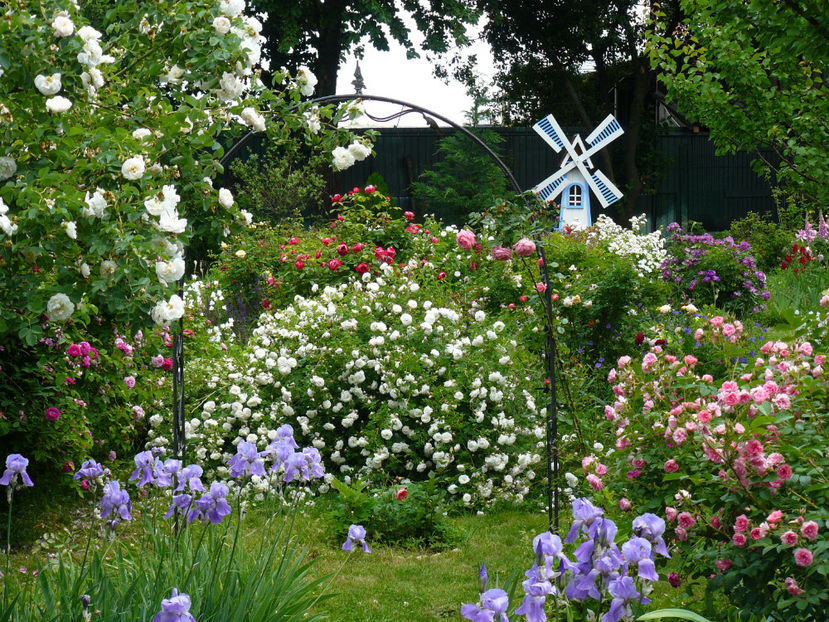 2018 M-am gandit sa folosesc culorile specifice Deltei Dunarii - Z_FAVORITELE gradinii mele