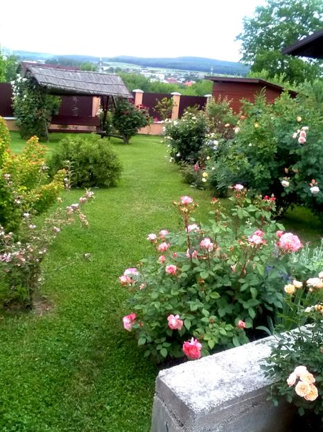  - Gradina luna mai 2018