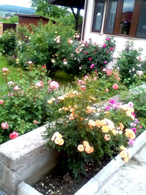  - Gradina luna mai 2018