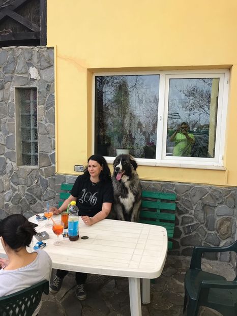 08.04.2018 - MARA DE CROITORU