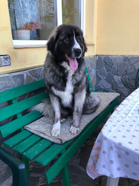 28.04.2018 - MARA DE CROITORU