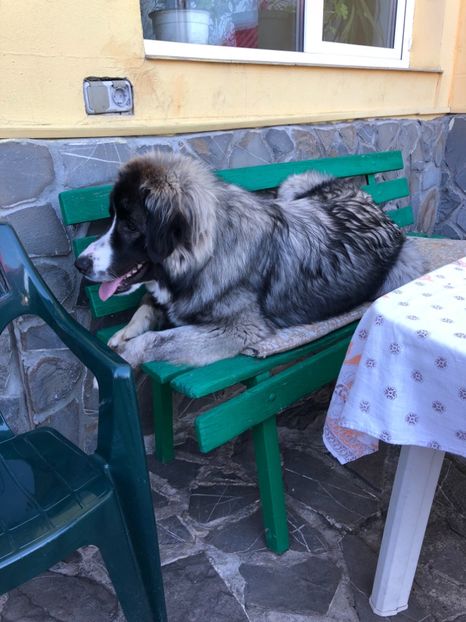 28.04.2018 - MARA DE CROITORU