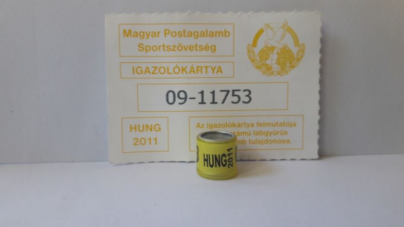 HUNG 2011 - UNGARIA - HUNG