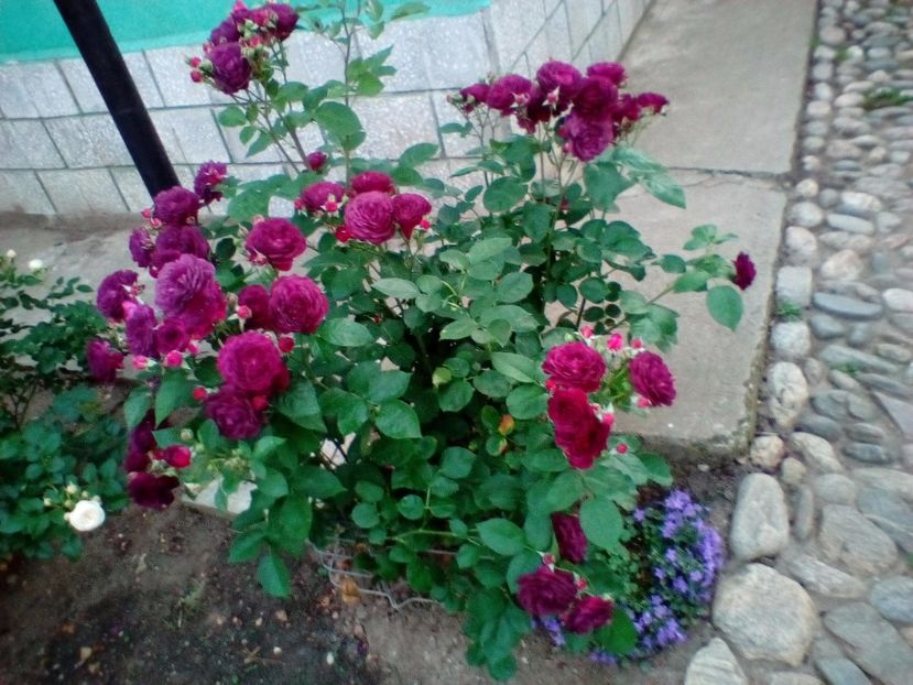 23 05 2018 - Ebb Tide