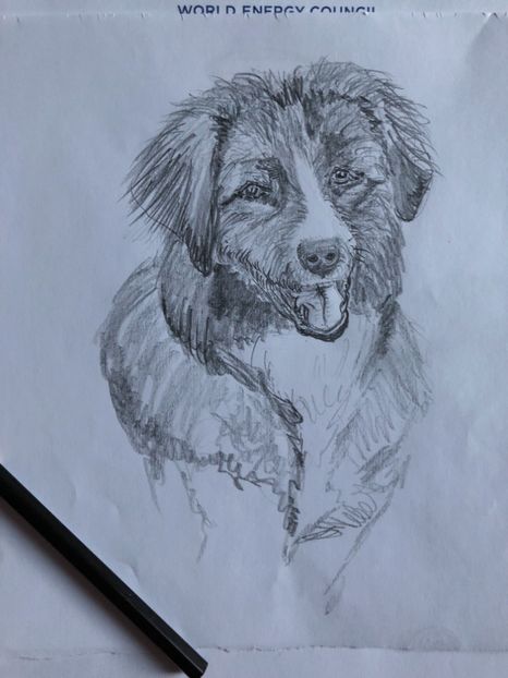 22.05.2018 Schita in lucru - MARA DE CROITORU