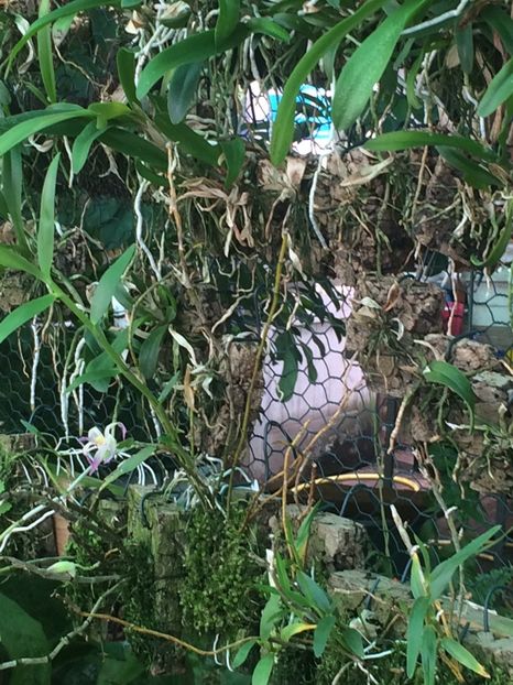  - 3-La Familia Elsner