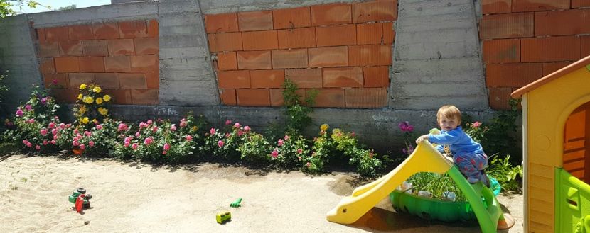  - AA - In  gradina mea