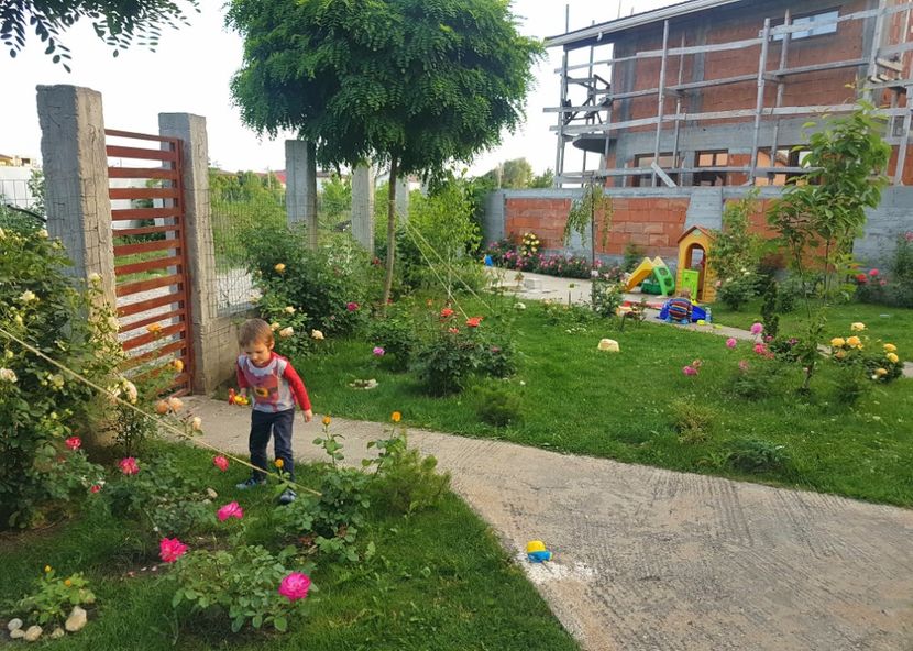  - AA - In  gradina mea
