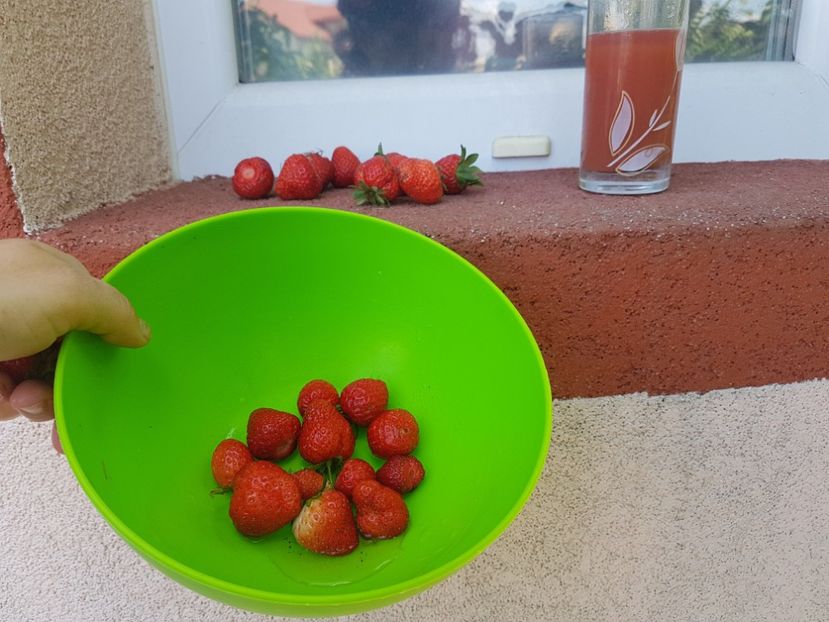  - Gradinuta cu de toate