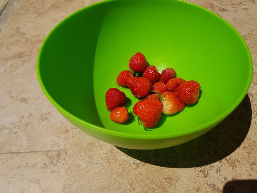  - Gradinuta cu de toate