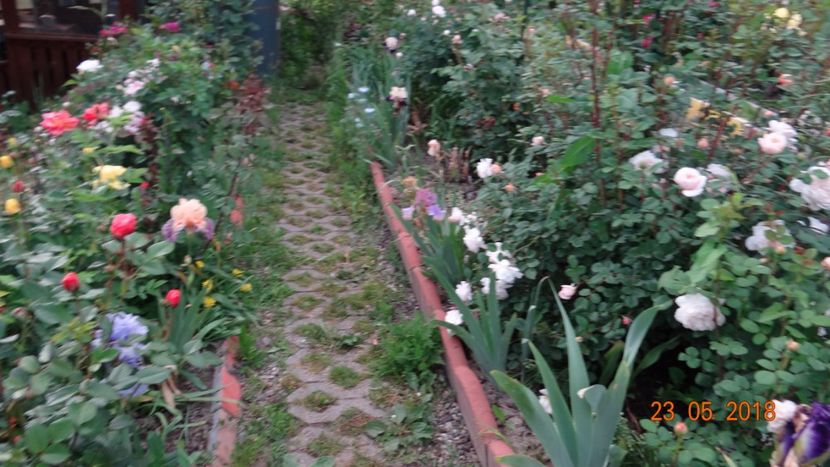 - De-ale lui Florar